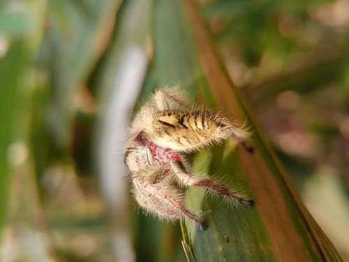Heavy Jumper — 8